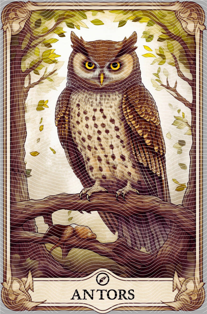 Cards and constellations-KP 149